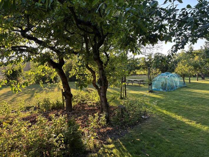 Ferienwohnung für 2 Personen, mit Ausblick und Terrasse sowie Garten in Middelburg - 4