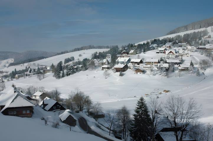 Ferienwohnung für 2 Personen, mit Balkon und Garten in Todtnauberg (Todtnau) - 4