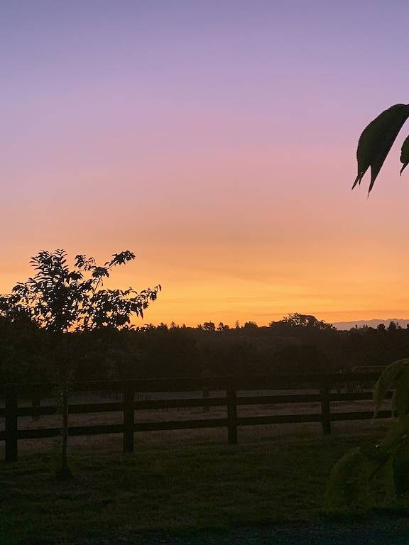 King size bedroom with ensuite and separate entrance, covered off street parking in Cambridge (NZ), Waikato