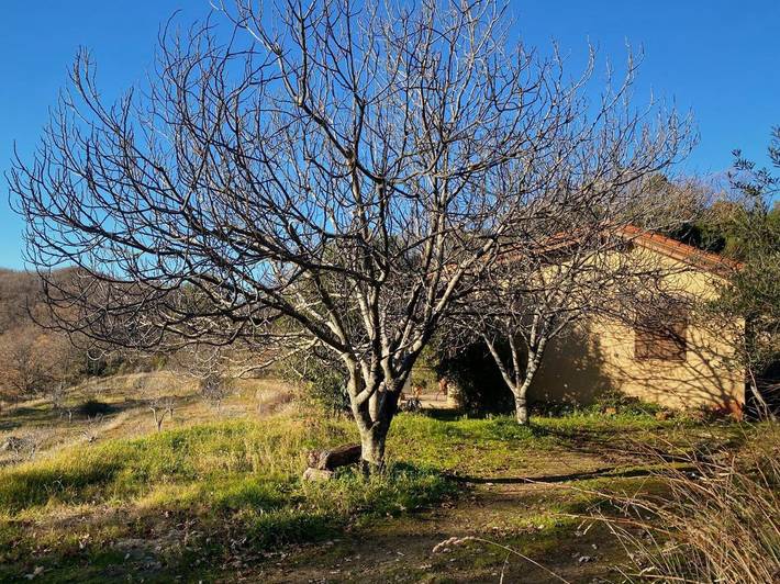 Casa rural para 4 personas, con jardín y vistas, Familias con niños en La Vera - 3