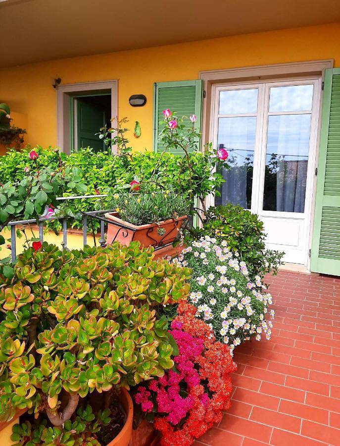 B&b voor 2 personen, with Balkon and Terras as well as Uitzicht in Massa