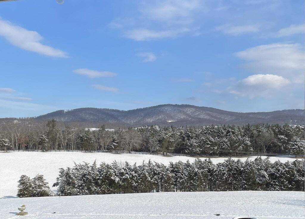 Vacation Apartment for 2 Guests in Virginia, USA