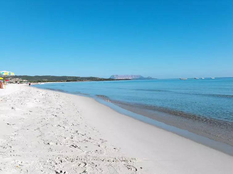 Entire apartment, 2 Rooms 4 People in Budoni, Olbia-Tempio