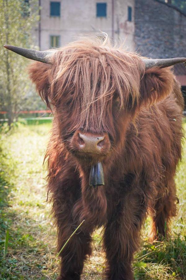 Gîte pour 4 personnes, avec vue et jardin, animaux acceptés à Pontremoli - 2