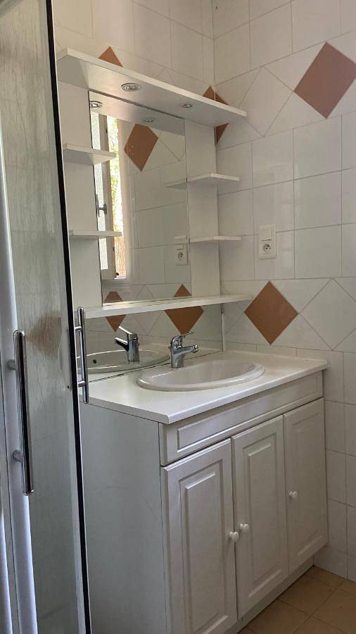 Gîte pour 4 personnes, avec jardin et terrasse, animaux acceptés à Barbaste - 3