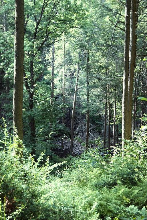 Log cabin for 2 people, with pool and yard as well as terrace in Pocono Mountains