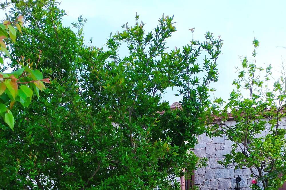 Neue Villa 10 min. zu Fuß vom schönen Strand Calasinzias in Cala Sinzias, Cagliari Provinz