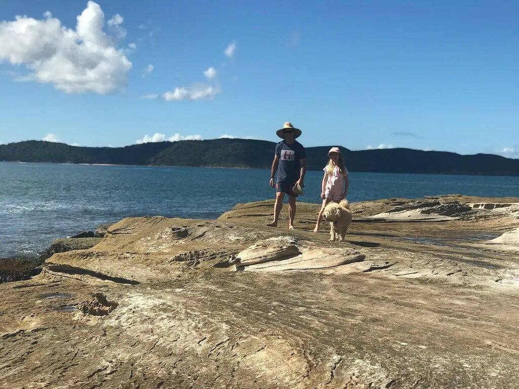 North facing cottage - 300m flat level walk to Pearl Beach in Pearl Beach, New South Wales