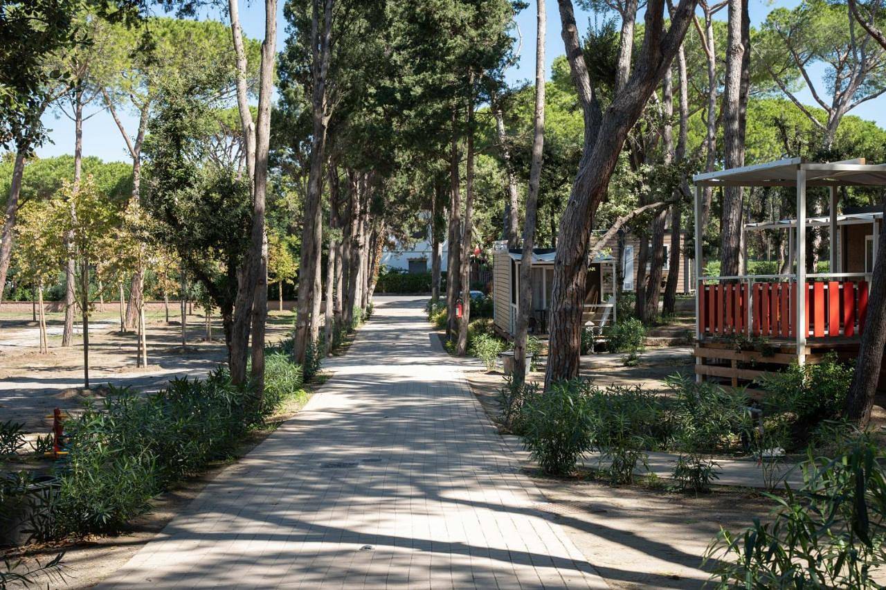 Camping Il Capannino Glamping Village in Marina di Bibbona, Bibbona
