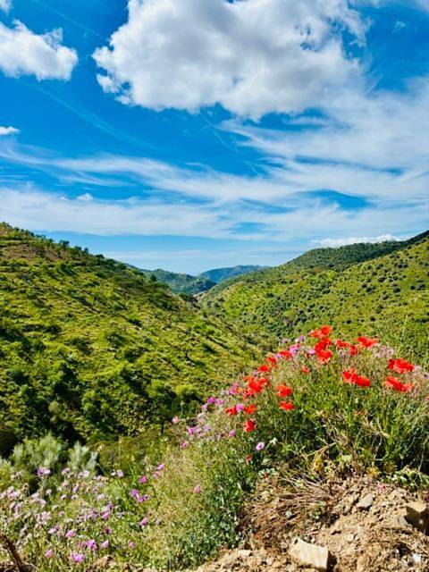 Casa rural para 7 personas, con piscina además de vistas y jardín en Casabermeja - 3