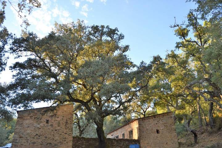 Casa rural para 4 personas, con jardín y vistas, Se admiten mascotas en Sierra de Aracena y Picos de Aroche - 3