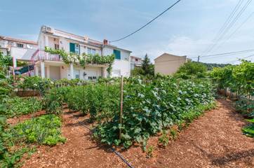 Apartament Wakacyjny dla 4 osoby w Marina, Żupania splicko-dalmatyńska, Zdjęcie 1