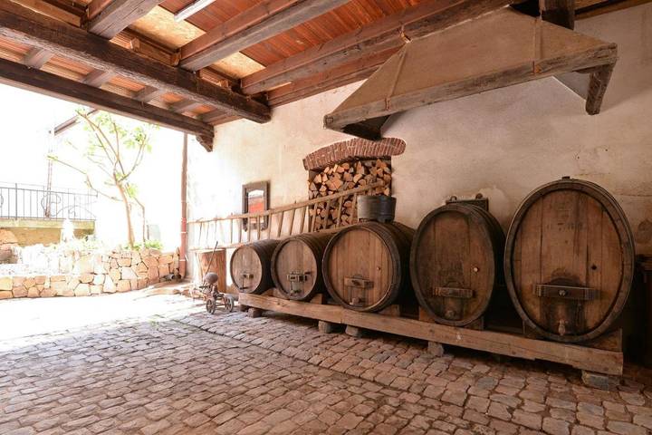 Maison de vacances pour 6 personnes, avec vue et jardin - 1