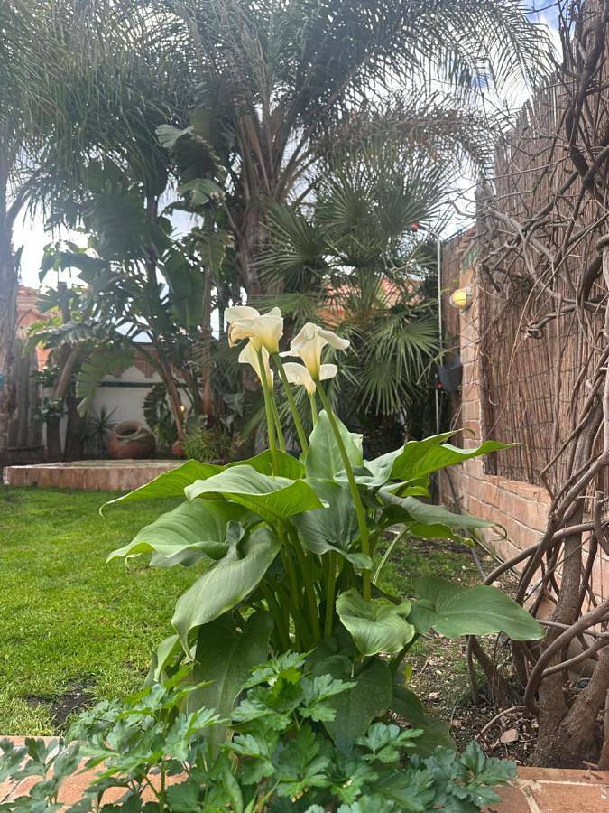 Location de vacances pour 6 personnes, avec jardin et vue à Calabardina - 2