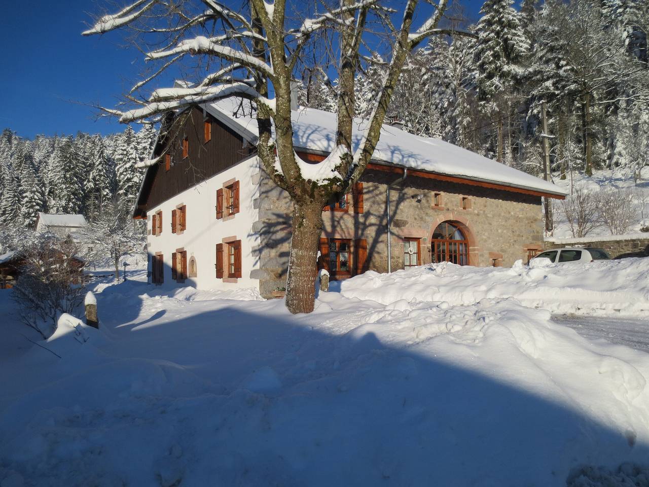 Appartement entier, Gîte du Champ du Bois : Confort au cœur des Vosges in Le Tholy, Région d'Épinal