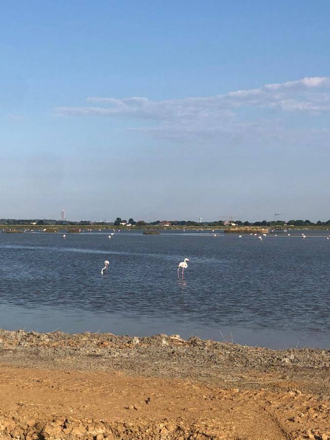 Camping für 4 Personen, mit Terrasse und Garten sowie Ausblick in Ravenna - 3