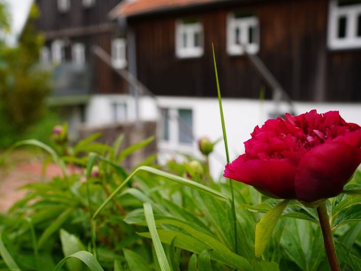 Ferienwohnung für 4 Personen, mit Garten und Balkon, kinderfreundlich in Rhön-Hessen - 3