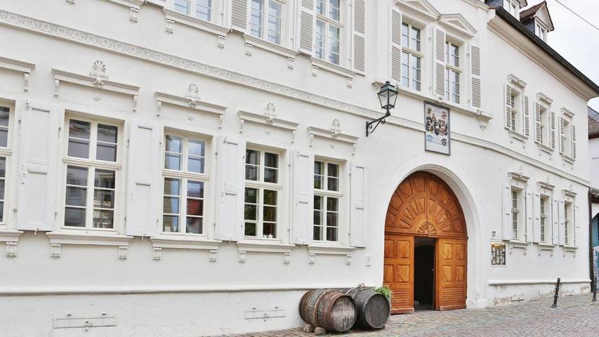 Hotel für 4 Personen, mit Terrasse in Freinsheim - 4