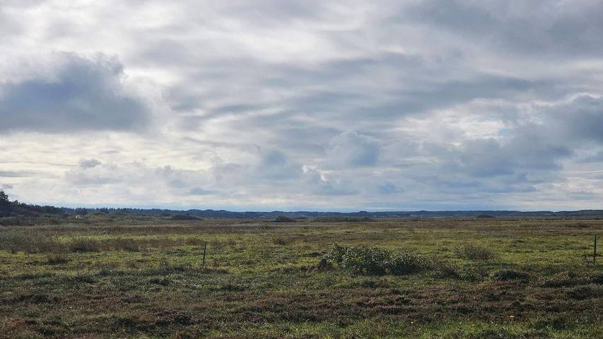 Ferienhaus für 9 Personen, mit Whirlpool und Garten sowie Pool und Sauna in Dänemark an der Nordsee - 3