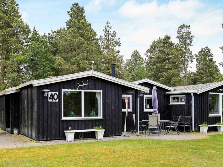 Ferieudlejning for 6 personer, med terrasse, børnevenlig i Ho
