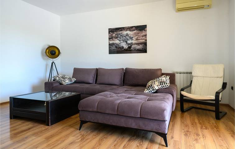 Location de vacances pour 8 personnes, avec terrasse et piscine à Svetvinčenat - 4