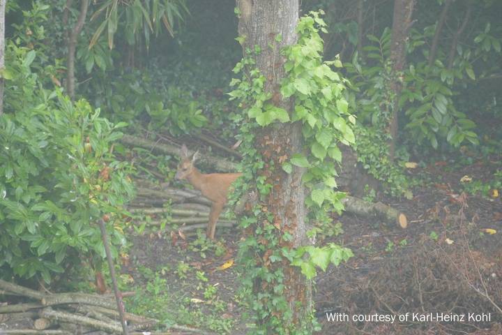 Location de vacances pour 4 personnes, avec jardin et vue à Saint-Jean-le-Thomas - 4