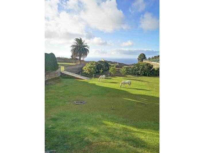 Finca Palmeras 2 in Las Longueras, La Guancha