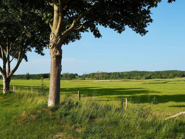 Ferienwohnung für 3 Personen, mit Garten und Terrasse in Parchtitz - 2