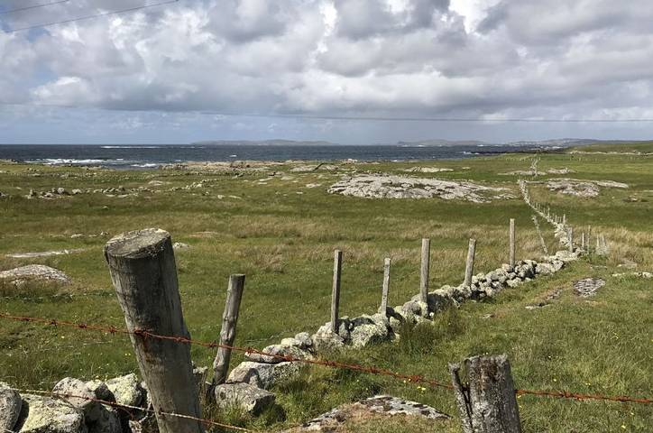 Ferienhaus für 9 Personen, mit Haustier in County Galway - 3