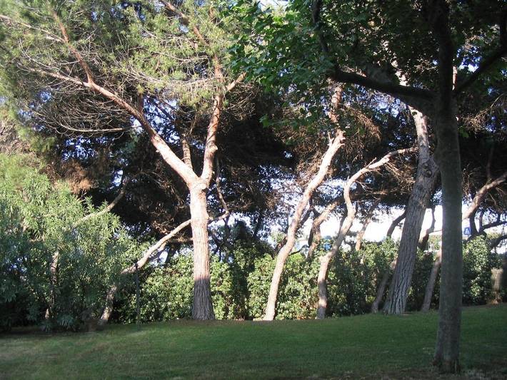 Chambre d’hôte pour 3 personnes à Giulianova - 2