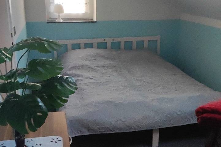 Ferienwohnung für 3 Personen, mit Haustier in Zwickau - 3