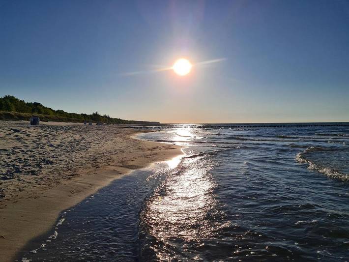 Bungalow für 2 Personen, mit Garten und Ausblick in Zingst - 2