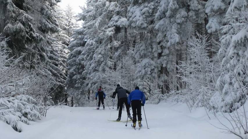 Ferienhaus für 4 Personen, mit Garten, kinderfreundlich in Waldmünchen - 3