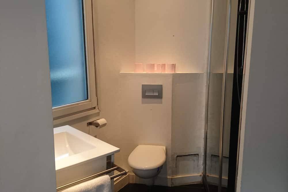Entire apartment, Studio Hypercentre closed to stations and metro in Lille, Lille region