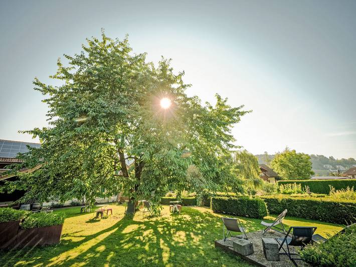 Ganze Wohnung, Hirschen Erlinsbach in Erlinsbach (SO), Kanton Solothurn