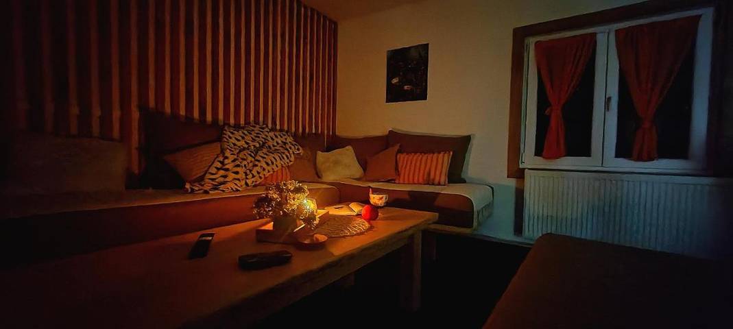 Location de vacances pour 4 personnes, avec vue et jardin à Kosjerić - 3