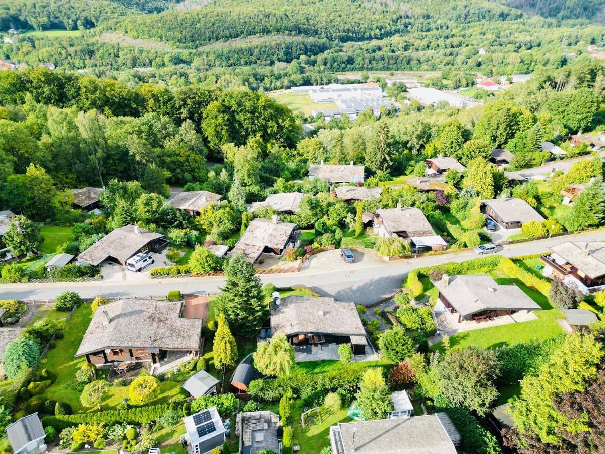 Dachsbau in Bad Lauterberg, Harzvorland