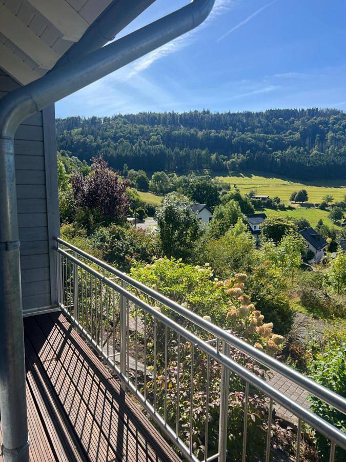 Ferienhaus für 4 Personen, mit Sauna und Seeblick sowie Ausblick und Garten in der Eifel - 3