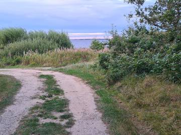 Ferieudlejning til 10 Personer i Vedersø Klit, Vesterhavet, Billede 4