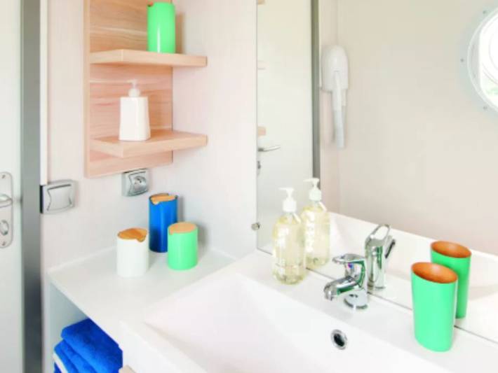 Mobil home pour 6 personnes, avec terrasse et piscine, animaux acceptés dans Sandrans - 4