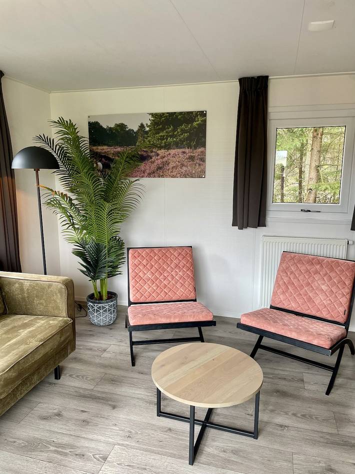Location de vacances pour 4 personnes dans Nijverdal - 4