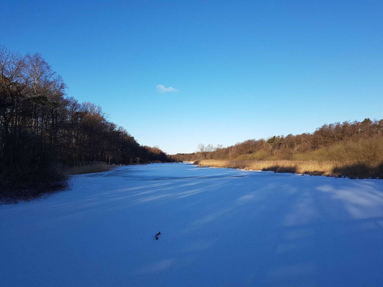 Ferienhausuhlenhus - Uhlenhus in Prerow, Fischland - Darß - Zingst