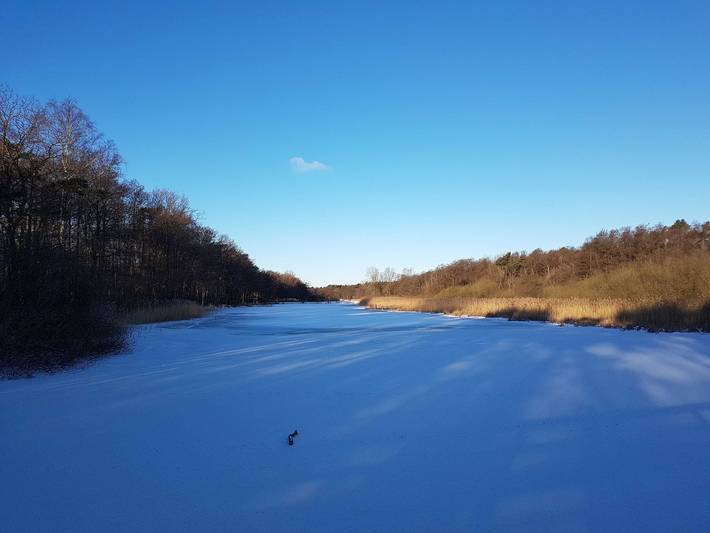 Ferienhaus für 6 Personen, mit Garten und Terrasse sowie Sauna, mit Haustier in Prerow - 4