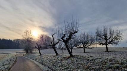 Ferienhaus für 5 Personen in Erbach im Odenwald, Odenwaldkreis, Bild 1