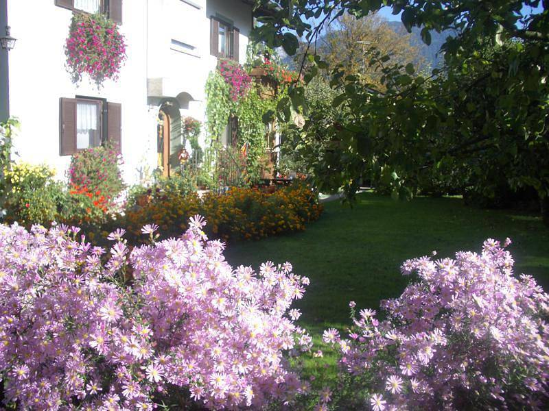 Ganze Ferienwohnung, Haus Auer - Ruhige Ferienwohnung, 29qm, Terrasse mit schönem Garten in Bad Reichenhall, Berchtesgadener Alpen