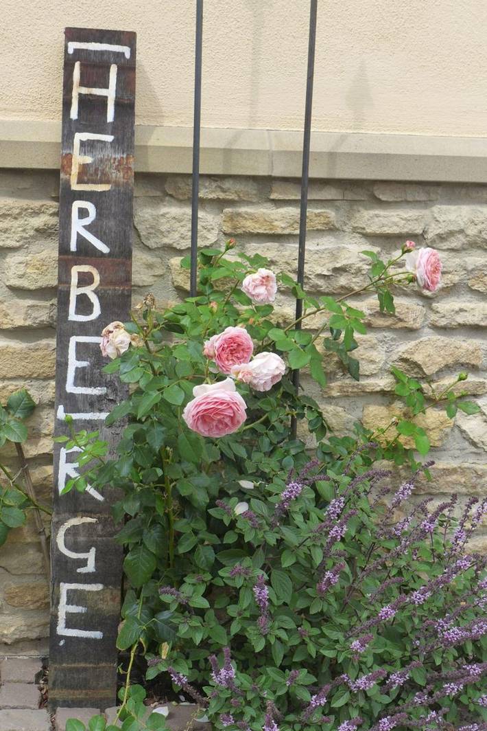 Ferienwohnung für 2 Personen, mit Terrasse und Garten sowie Sauna in Rheinhessen - 2