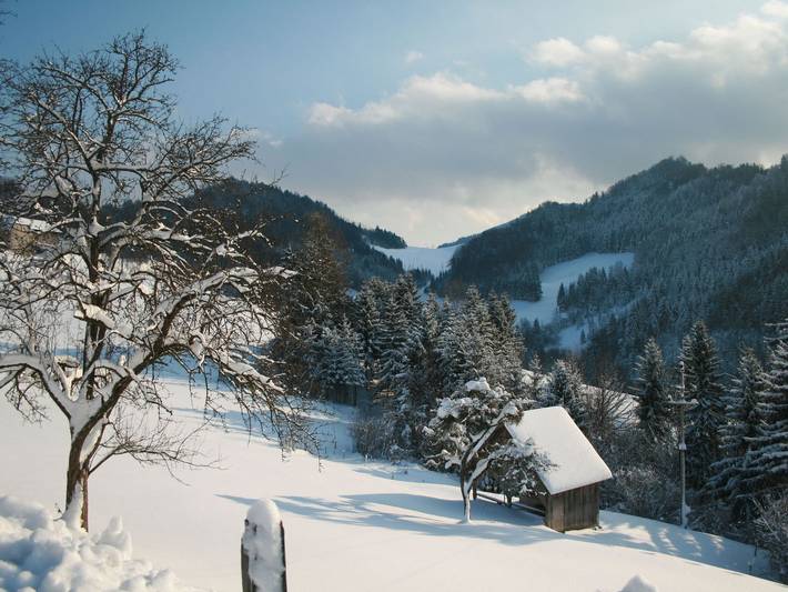 Ferienhaus für 4 Personen, mit Terrasse und Garten in Steyr-Land