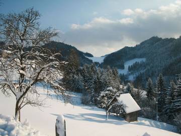 Chalet für 4 Personen, mit Terrasse und Garten, kinderfreundlich in Oberösterreich