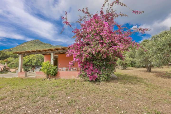 Ferienhaus für 4 Personen, mit Garten in Lacona - 4