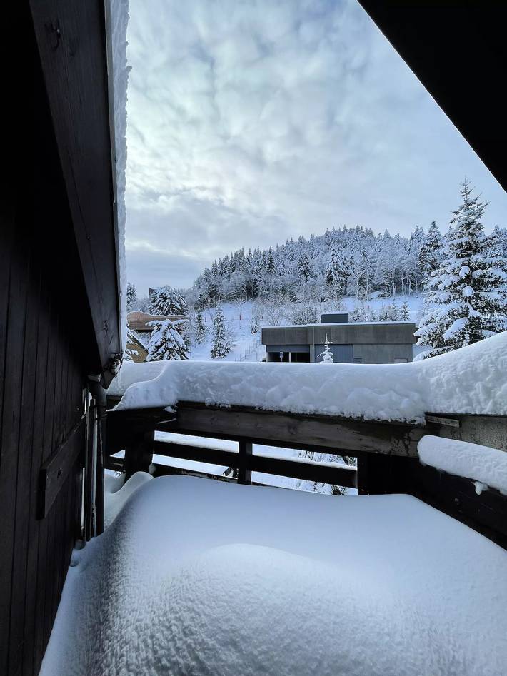 Gîte pour 4 personnes à Laveissière - 2